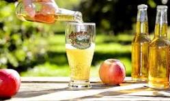 Beer/Ciders
